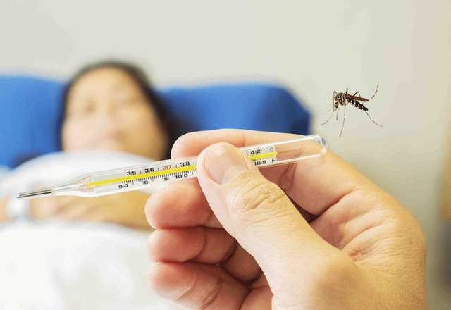 Người bệnh nền mắc sốt xuất huyết Dengue có nguy hiểm không